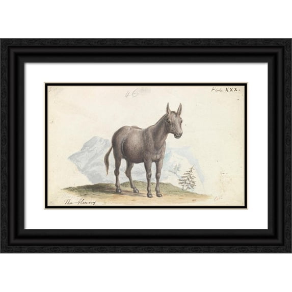 Charles Hamilton Smith 14x10 Black Ornate Wood Framed Double Matted Museum Art Print Titled: The Hinny (1837)