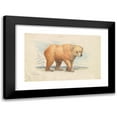 thumbnail image 1 of Charles Hamilton Smith 14x11 Black Modern Framed Museum Art Print Titled - The Brown Bear (1837), 1 of 5