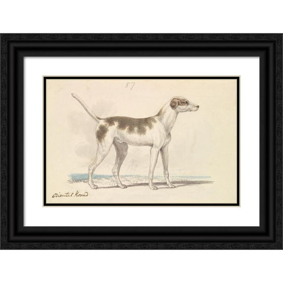 Charles Hamilton Smith 18x13 Black Ornate Wood Framed Double Matted Museum Art Print Titled - Oriental Hound (1837)
