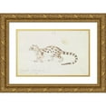 thumbnail image 1 of Charles Hamilton Smith 18x13 Gold Ornate Wood Frame and Double Matted Museum Art Print Titled - Small Indian Civet (1837), 1 of 4