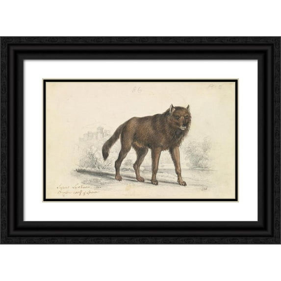 Charles Hamilton Smith 24x16 Black Ornate Framed Double Matted Museum Art Print Titled: The Black Wolf (1837)