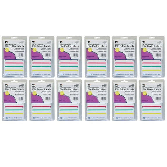 Charles Leonard File Folder Labels, Assorted, 2976 Pieces