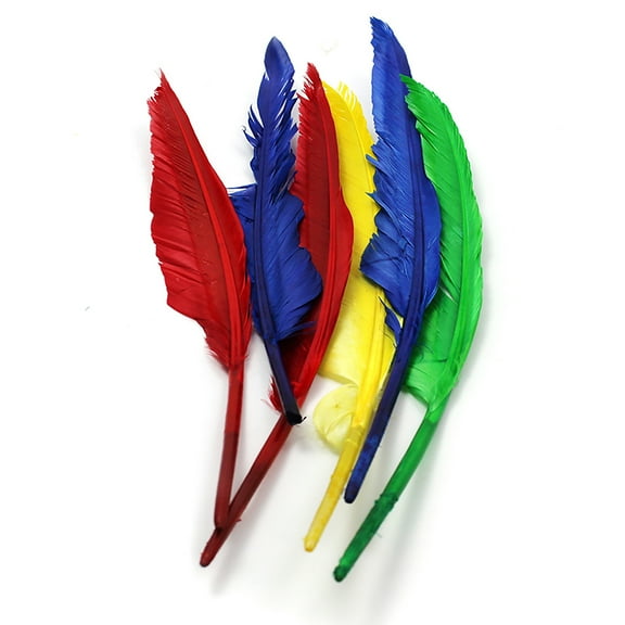 Charles Leonard Quill Feathers, 10" & 12", 6 Per Pack, 12 Packs