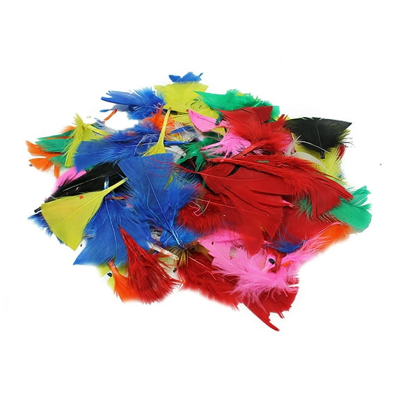 Charles Leonard Turkey Feathers, Bright Colors, 14 Grams Per Pack, 12 Packs