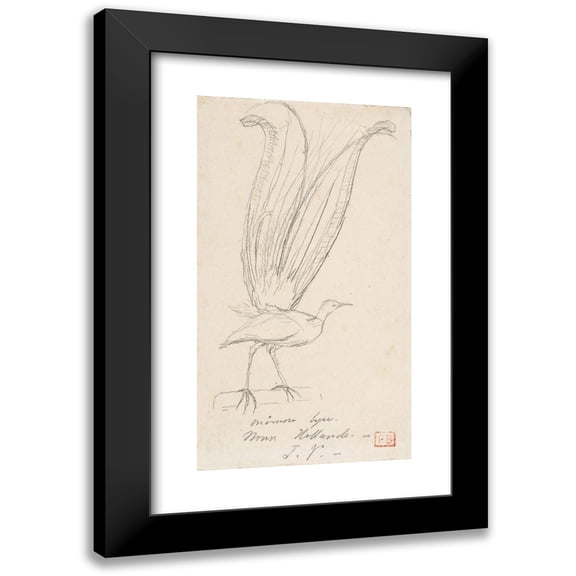 Charles Meryon 10x14 Black Modern Framed Museum Art Print Titled - A Lyre Bird (ca. 1846-55)
