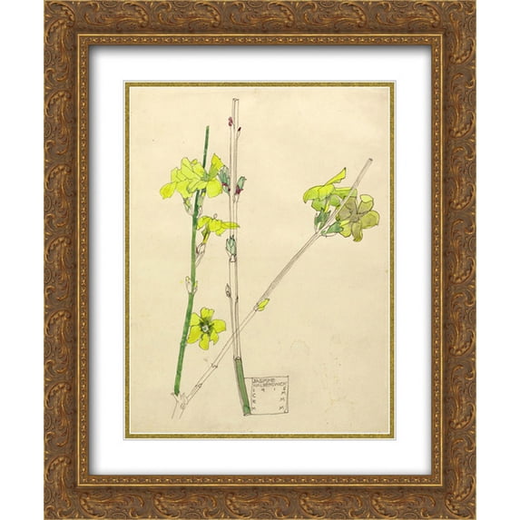 Charles Rennie Mackintosh 2x Matted 20x24 Gold Ornate Framed Art Print 'Jasmine '