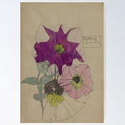 Charles Rennie Mackintosh Petunia Walberswick Poster, Poster Only