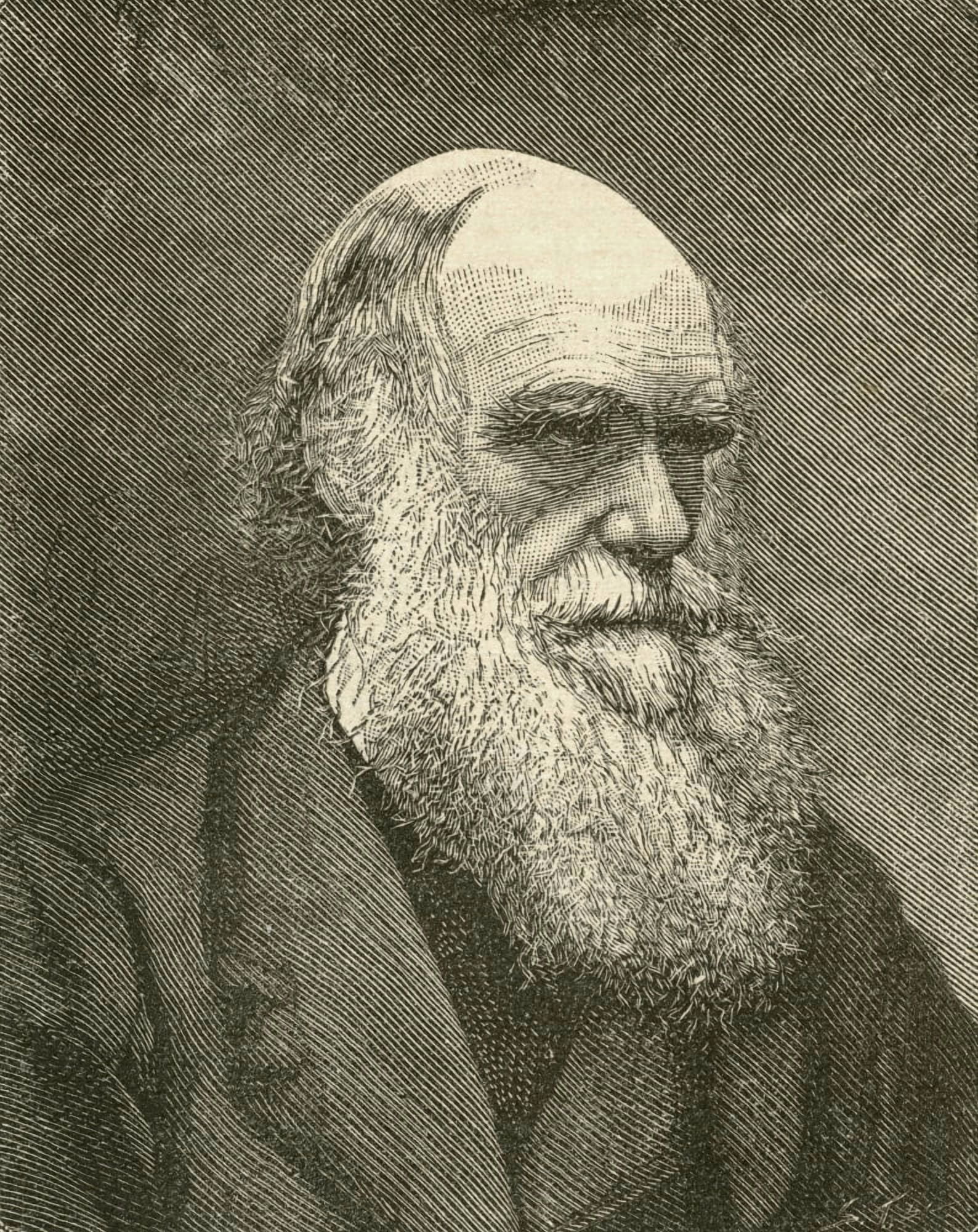 Charles Robert Darwin 1809 Canvas Art - Ken Welsh Design Pics (12 x 15)