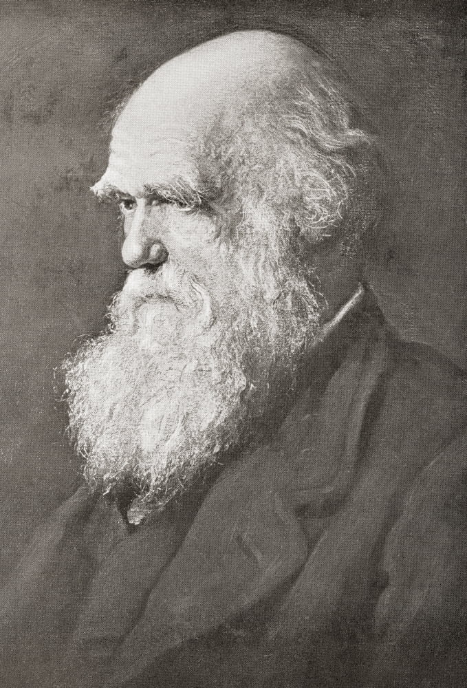 Charles Robert Darwin 1809 Canvas Art - Ken Welsh Design Pics (22 x 34)