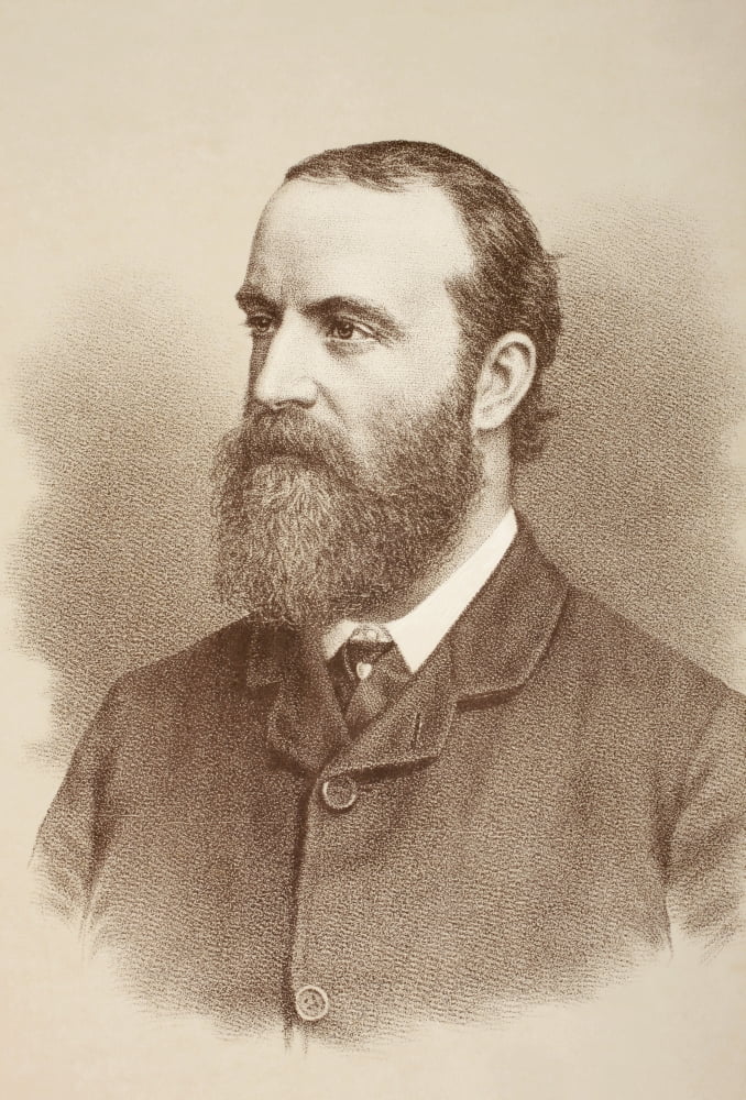 Charles Stewart Parnell 1846 Canvas Art - Ken Welsh Design Pics (12 x 17)
