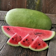Charleston Grey Watermelon Seeds - 2 g ~16 Seeds - Non-GMO, Heirloom, Open Pollinated - Vegetable Gardening / Fruit Seeds