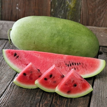 Charleston Grey Watermelon Seeds - 2 g ~16 Seeds - Non-GMO, Heirloom, Open Pollinated - Vegetable Gardening / Fruit Seeds