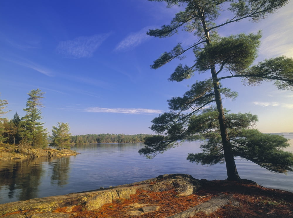 Charleston Lake Charleston Lake Provincial Park Alberta Canada Canvas Art - Darwin Wiggett Design Pics (32 x 24)