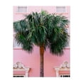 thumbnail image 1 of Charleston Pink - Charleston South Carolina Photography Palm Tree Tropical Architecture Pastel Coastal Beach House Botanical Unframed Wall Art Print 22 x 28 inches, 1 of 81