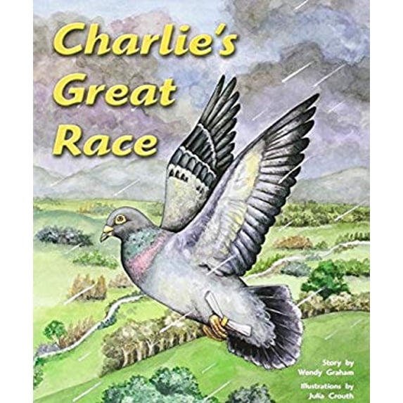Pre-Owned Charlie's Great Race: Individual Student Edition Silver (Levels 23-24) (Paperback) 0757811140 9780757811142