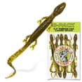 thumbnail image 1 of Charlie's Worms Lizard Gecko, Scented, Soft Bait for Freshwater Saltwater, 8pk, 1 of 3