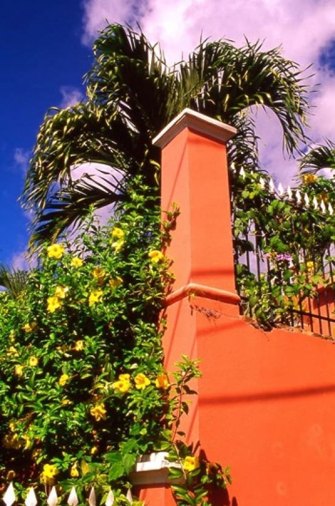 Charlotte Amalie St Thomas Caribbean Canvas Art - Alan Klehr DanitaDelimont (24 x 36)