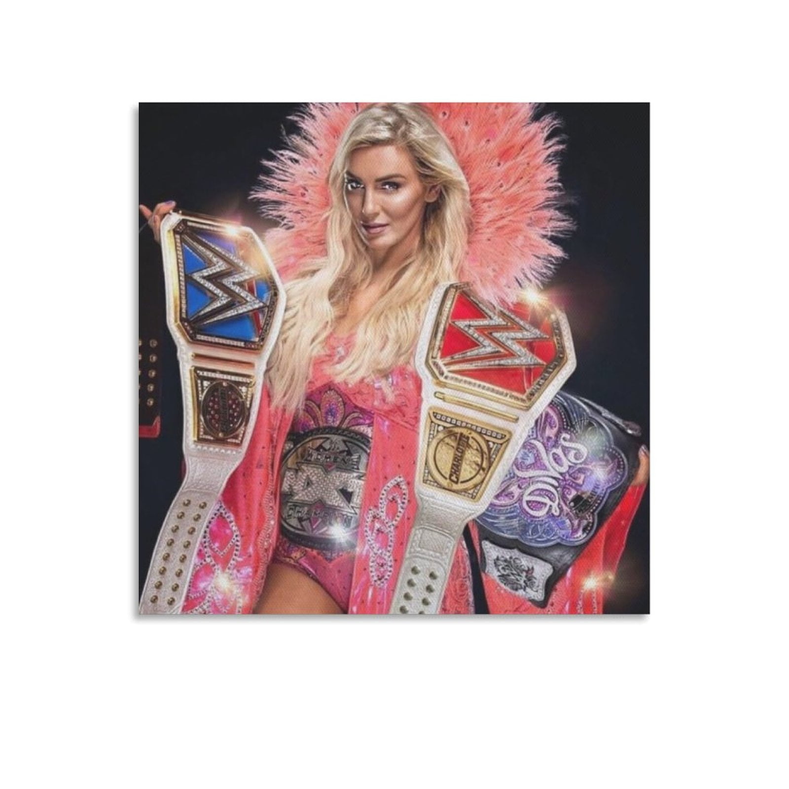 Curated visual reference: Textile Art With International Flair Decor Inspiration Reference: Charlotte Flair Canvas Poster Poster Cool Artworks Painting Wall Art