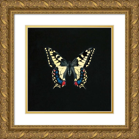Charlotte, Joanna 15x15 Gold Ornate Wood Framed with Double Matting Museum Art Print Titled - Butterfly on Black