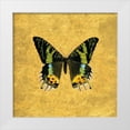 thumbnail image 1 of Charlotte, Joanna 15x15 White Modern Wood Framed Museum Art Print Titled - Butterfly on Gold, 1 of 4