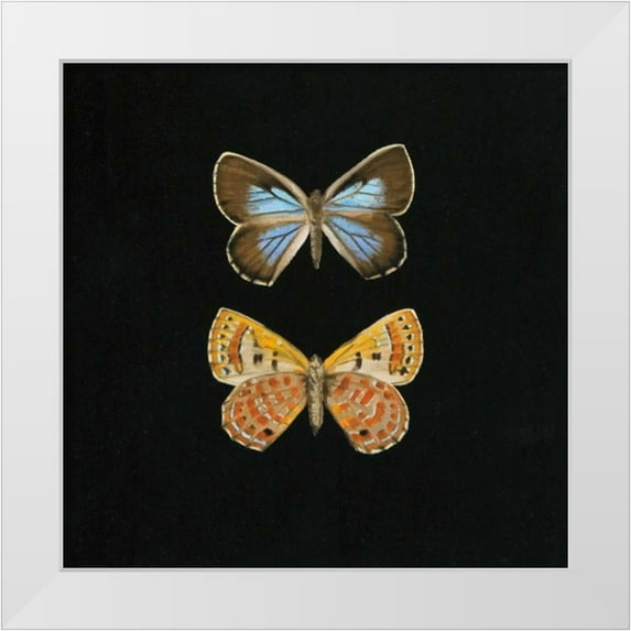 Charlotte, Joanna 15x15 White Modern Wood Framed Museum Art Print Titled - Pair of Butterflies on Black