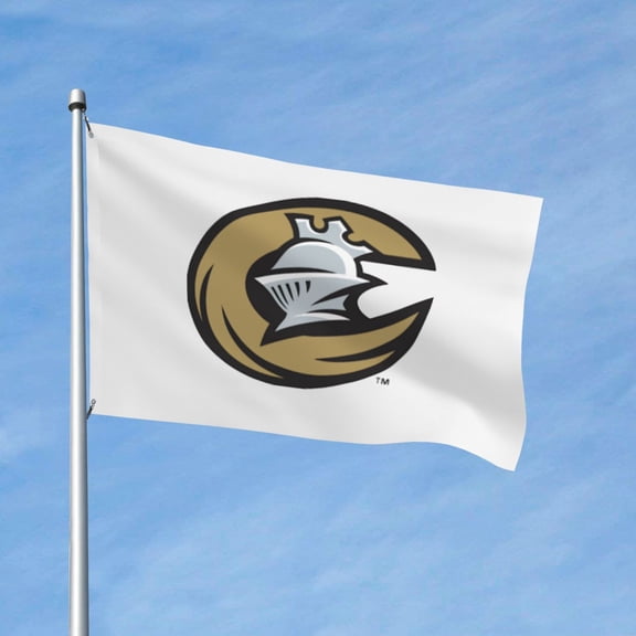 Charlotte Knights Logo 3x5 Ft Flag Double Sided Indoor Outdoor Double Stitched Polyester Flag With 2 Grommets-Both Side Can Be Read
