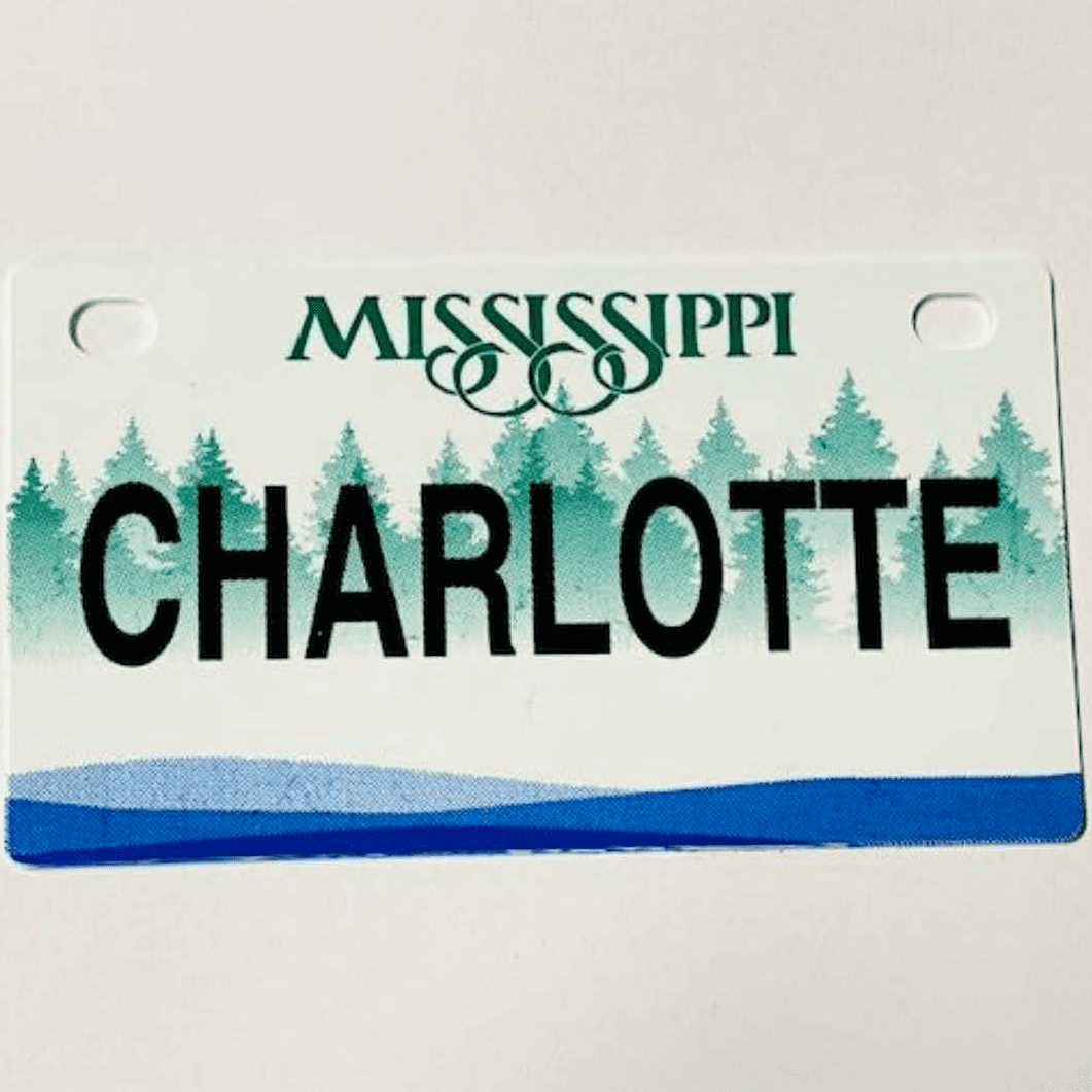 Charlotte Mini Bike Plate Add On Accessory