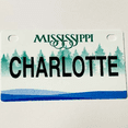 thumbnail image 1 of Charlotte Mini Bike Plate Add On Accessory, 1 of 1