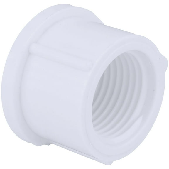 Charlotte Pipe PVC Threaded Cap 02117 Schedule 40 - 3 In. FIP - White