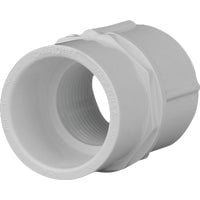 Charlotte Pipe Female Schedule 40 3/4 in. PVC Adapter Pack of 25