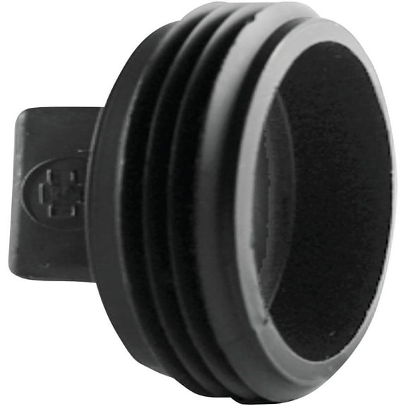 Charlotte Pipe Cleanout Plug Abs/Dwv 3 " Mpt Black