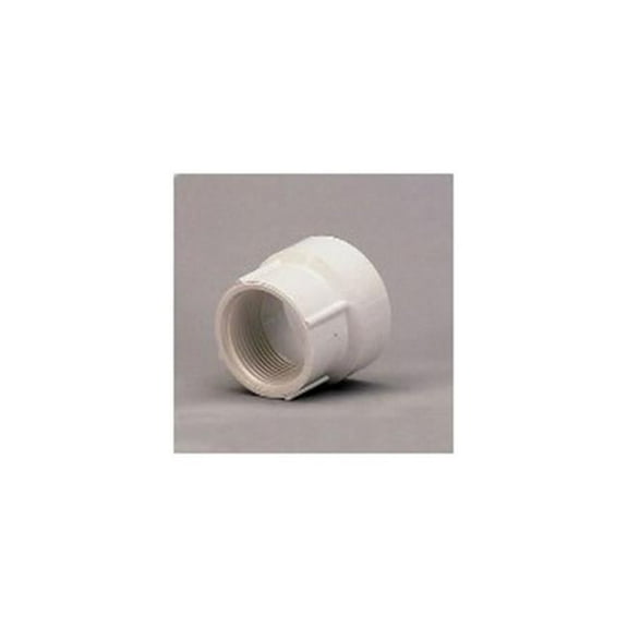 Charlotte Pipe & Foundry 241024 1.25 in. Female Trap Adapter
