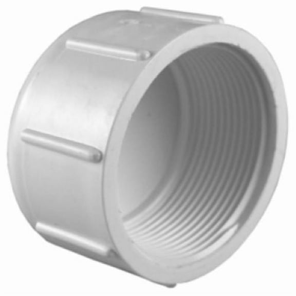 Charlotte Pipe PVC 02117 1200HA Schedule 40 1" White Threaded PVC Pipe Cap - Quantity of 60