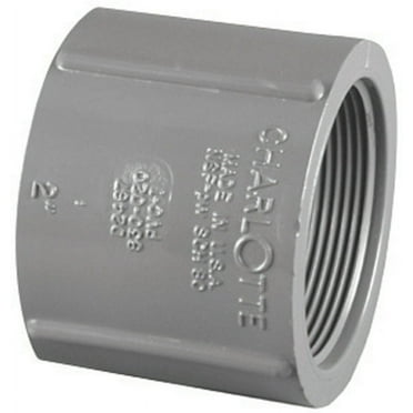 Charlotte Pipe 1-1/4 In. FIP x FIP PVC Coupling PVC 08102  1600HA