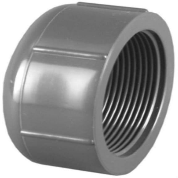 Charlotte Pipe PVC 08117 1400HA 1 in. PVC Schedule 80 Cap- Gray