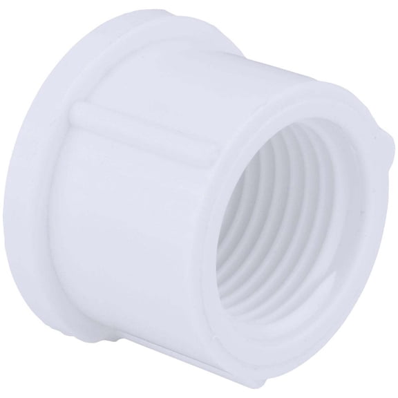 Charlotte Pipe 1 In. FIP Schedule 40 Threaded PVC Cap PVC 02117  1200HA