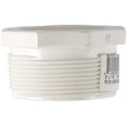 thumbnail image 1 of Charlotte Pipe Schedule 40 2 in. MPT x 1-1/2 in. Dia. FPT PVC Reducing Bushing, 1 of 1
