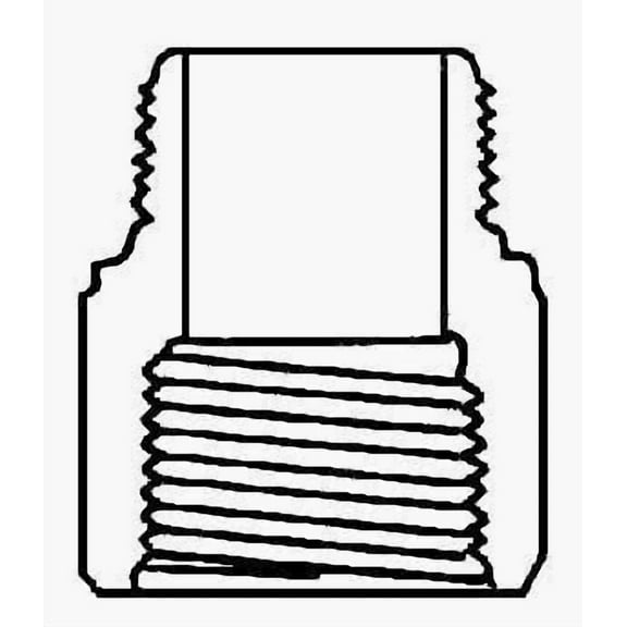 Charlotte Pipe Schedule 40 3/4 in. FPT x 3/4 in. Dia. MPT PVC Riser Extension