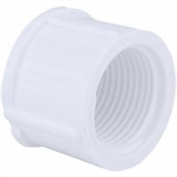 Charlotte Pipe Schedule 40 Threaded PVC Cap - Pack of 24 Shop Supply Pack
