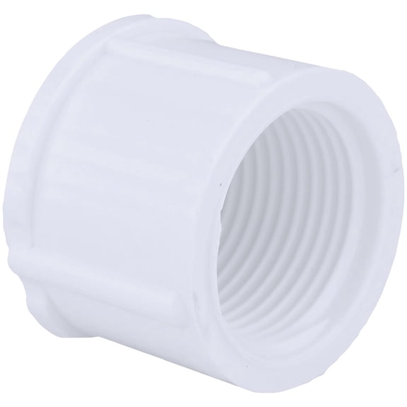 Charlotte Pipe Schedule 40 Threaded PVC Cap - Pack of 6