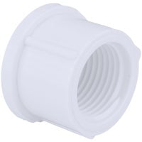 Charlotte Pipe Schedule 40 Threaded PVC Cap
