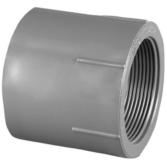 Charlotte Pipe Schedule 80 2 in. Slip x 2 in. Dia. FPT PVC Pipe Adapter