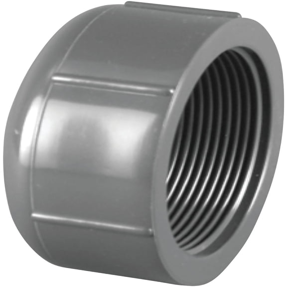 Charlotte Pipe Schedule 80 Threaded PVC Cap - Pack of 6