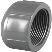 Charlotte Pipe Schedule 80 Threaded PVC Cap