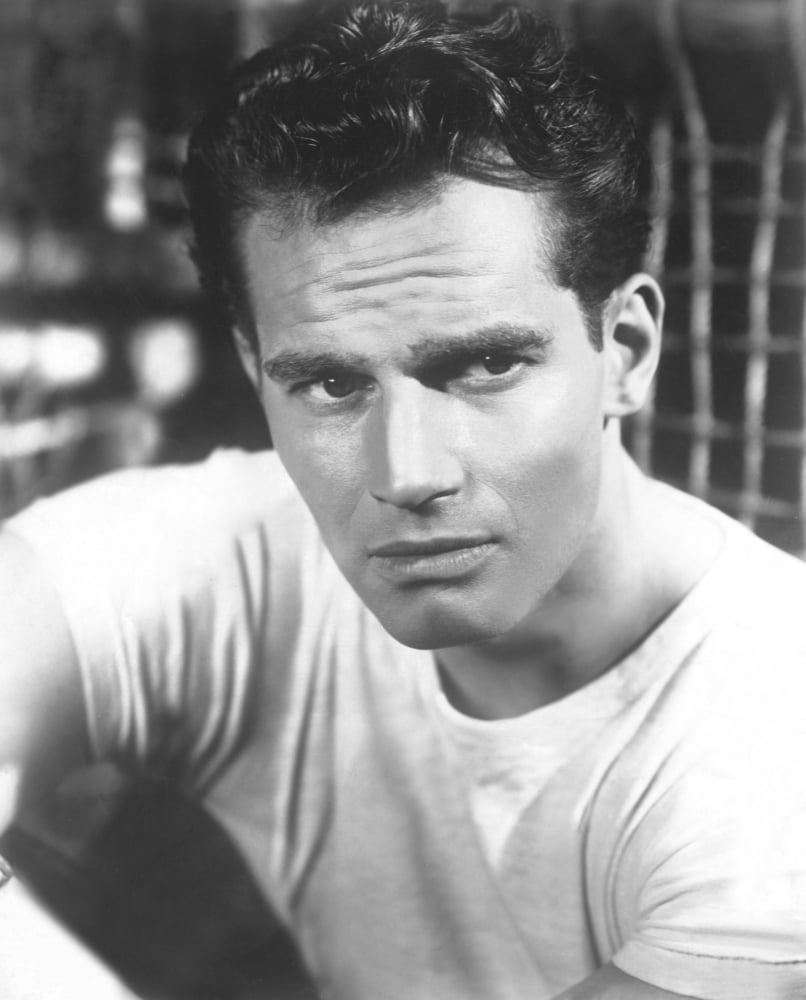 Charlton Heston Canvas Art - (16 x 20)
