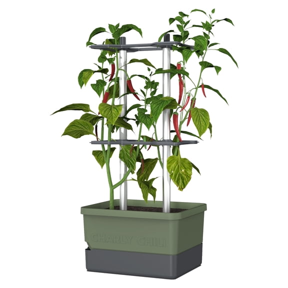 BUZZY Seeds Charly Chili Self-Watering Planter with Vertical Trellis – 1.2 Gal Reservoir, Large Capacity Planter for Chili Peppers, Bell Peppers & Eggplants (Green)