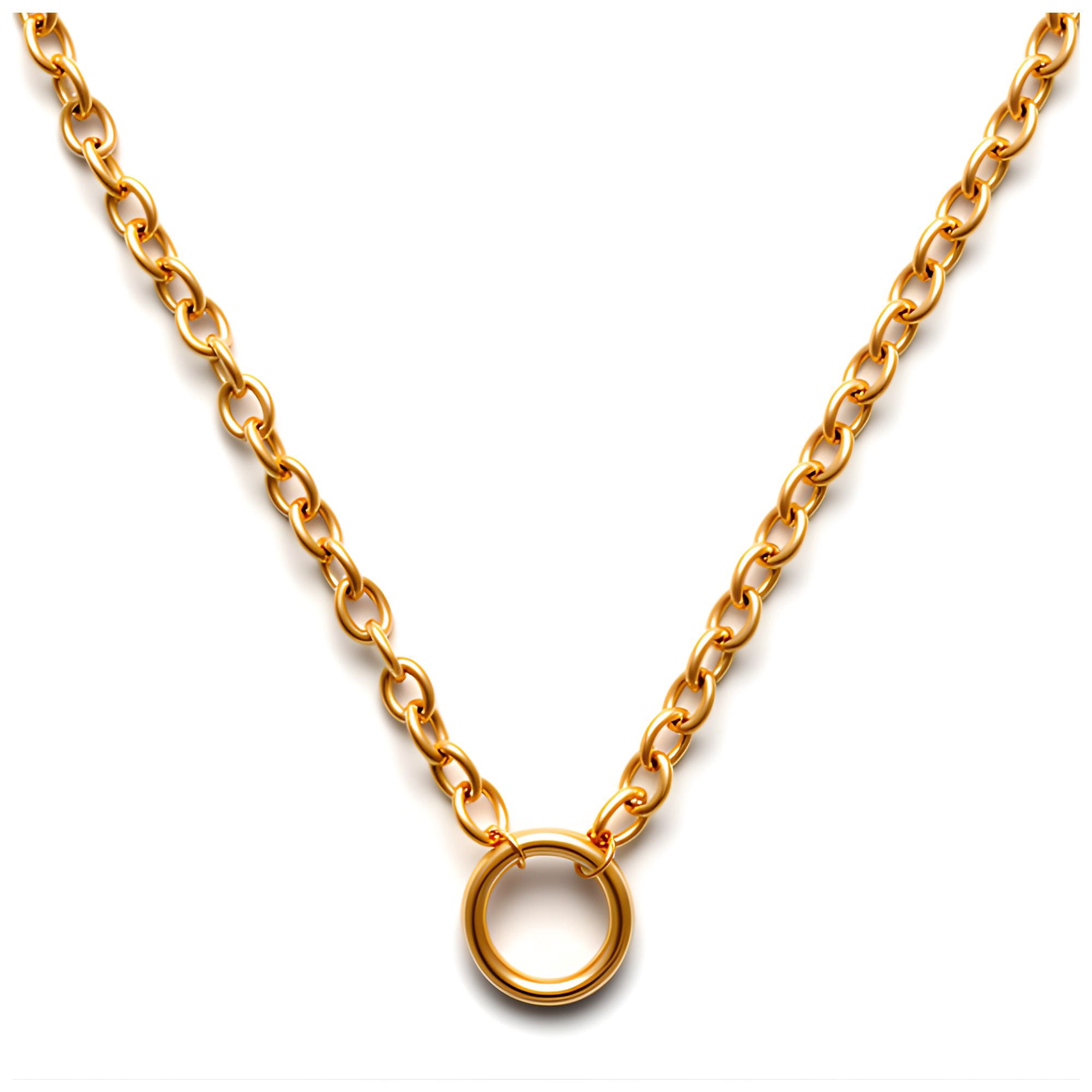 Carabiner Charm Necklace for Women O Link Chain Round Holder Stainless Steel by Ginger Lyne