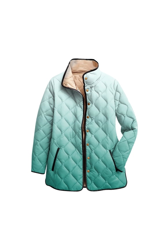 Ladies' Gradient Printed Stand Up Collar Pleated Cotton Long Sleeved Buttoned Cotton Jacket Green 2XL