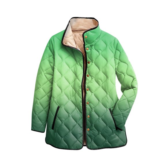 CharmCyan Ladies' Gradient Printed Stand Up Collar Pleated Cotton Long Sleeved Buttoned Cotton Jacket Green 2XL