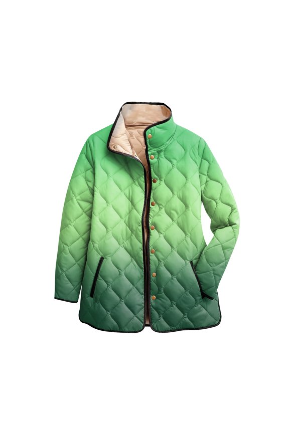 Ladies' Gradient Printed Stand Up Collar Pleated Cotton Long Sleeved Buttoned Cotton Jacket Green M